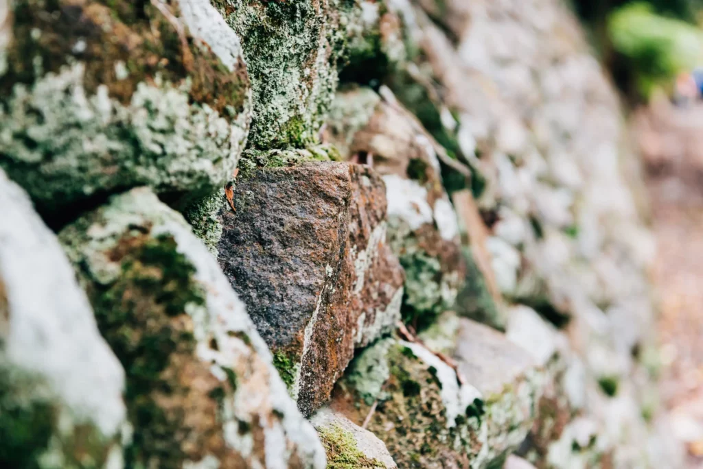 Eine Nahaufnahme einer mit Moos bedeckten Steinmauer, die Nachhaltigkeit symbolisiert.
