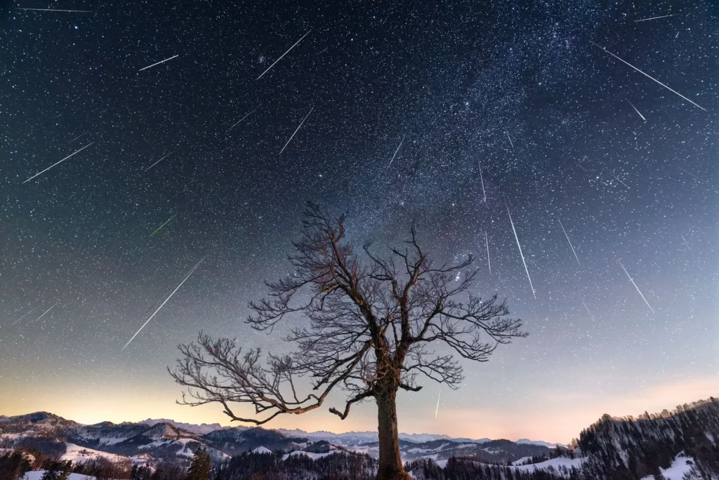 Ein Baum unter einem sternenklaren Nachthimmel.