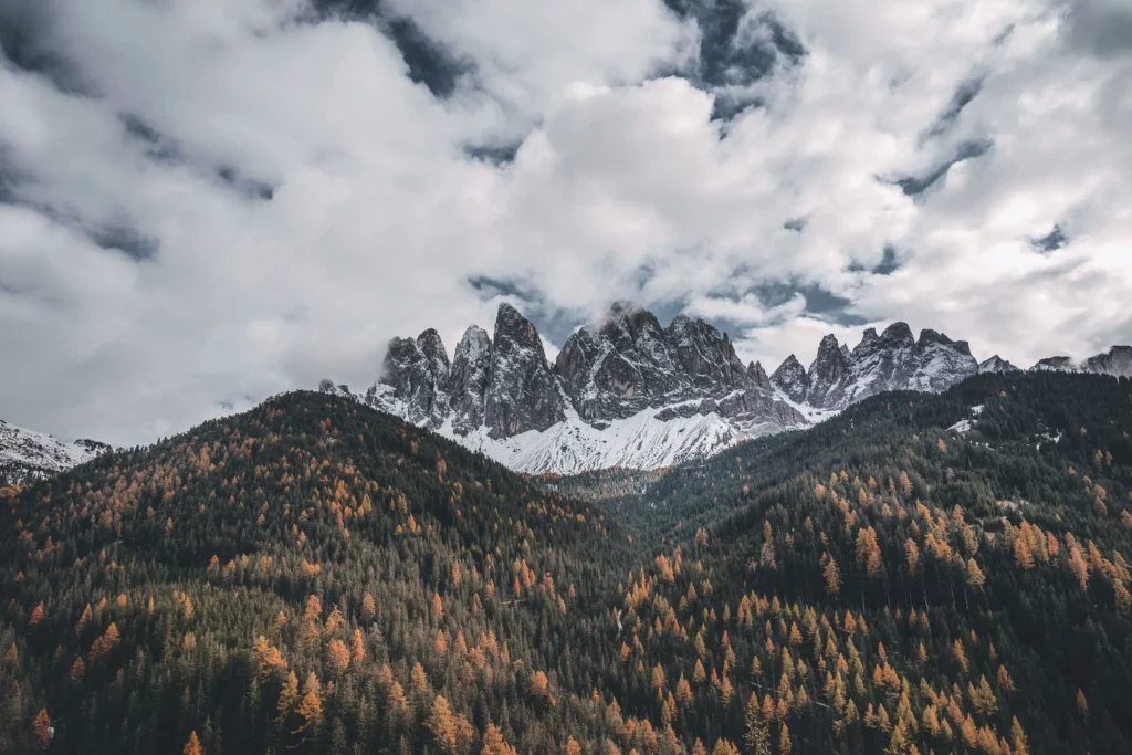 Sternenhimmel ueber einer naechtlichen Landschaft, symbolisierend fuer FinSus' Expertise in Finanz- und Nachhaltigkeitsberichterstattung.